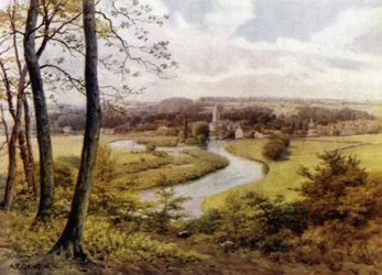 Marlow von Quarry Woods